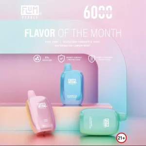 FLUM Pebble 6000 Disposable Device – 6,000 Puffs