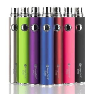 Kanger EVOD Twist Device – 650mAh / 1000mAh